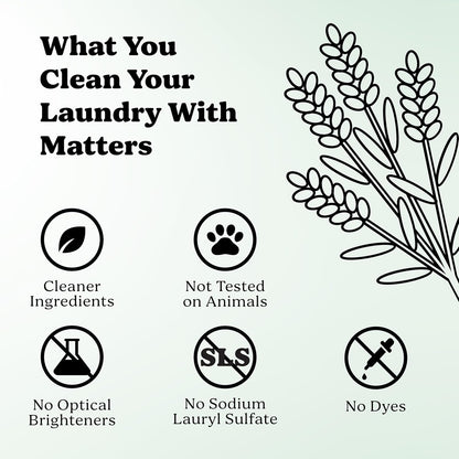 Pronounce Laundry Detergent Powder Alternative | Non-Toxic, Eco-Friendly, Natural for Sensitive