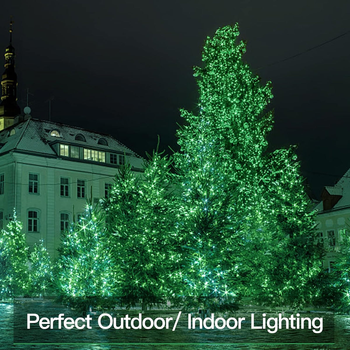 suddus Green Christmas Lights, 33ft 100 LED String Lights with Remote, Green Fairy Lights Battery