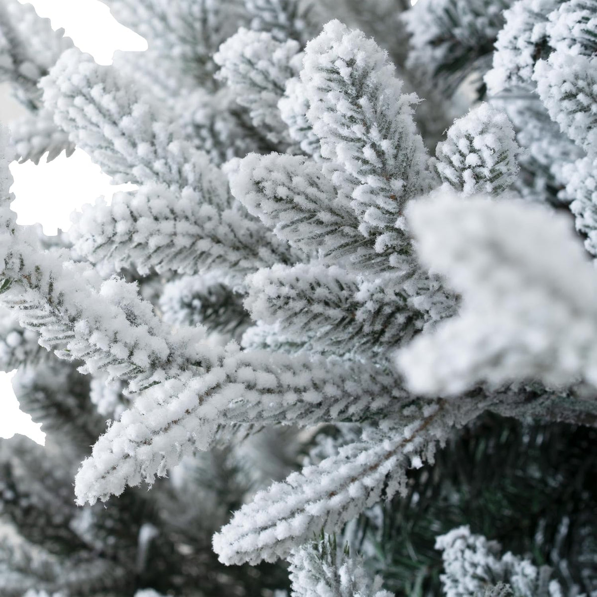Naomi Home 6 5ft Frosted Christmas Tree with Lights Realistic Snow Flocked Christmas Tree Prelit