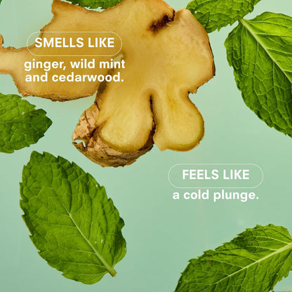 Boy Smells Mint Candle - 8.5 oz Fancy Candle with Ginger, Wild Mint, and Cedarwood- Up to 50-Hour