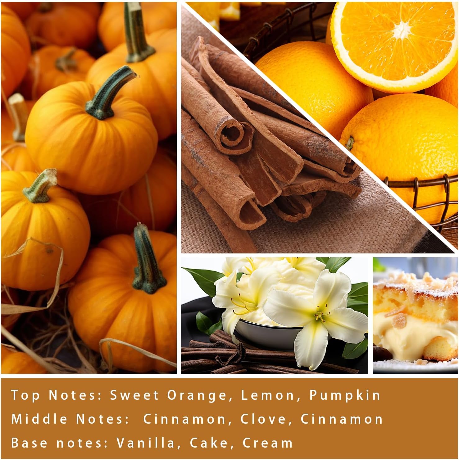 Cinnamon & Pumpkin Scented Candle – Fall Candles for Home Scented, Soy Candles for Home, 7 oz Cozy