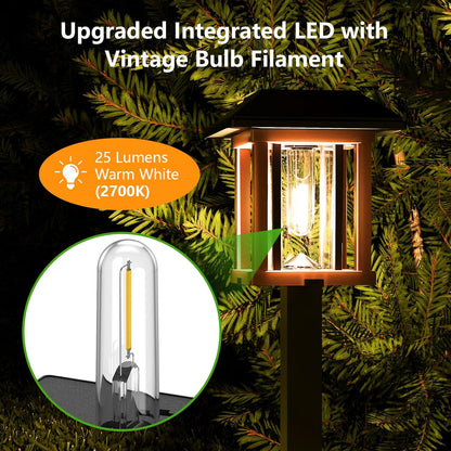 XMCOSY+ Solar Pathway Lights Outdoor, 25 LM LED Garden Lights with Seed Glass, 2-Tone/Colour