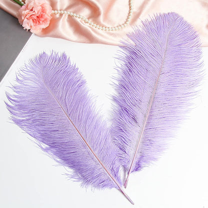 THARAHT Lavender Ostrich Feathers 12pcs Large Natural Bulk 16-18Inch 40cm-45cm for Wedding Party
