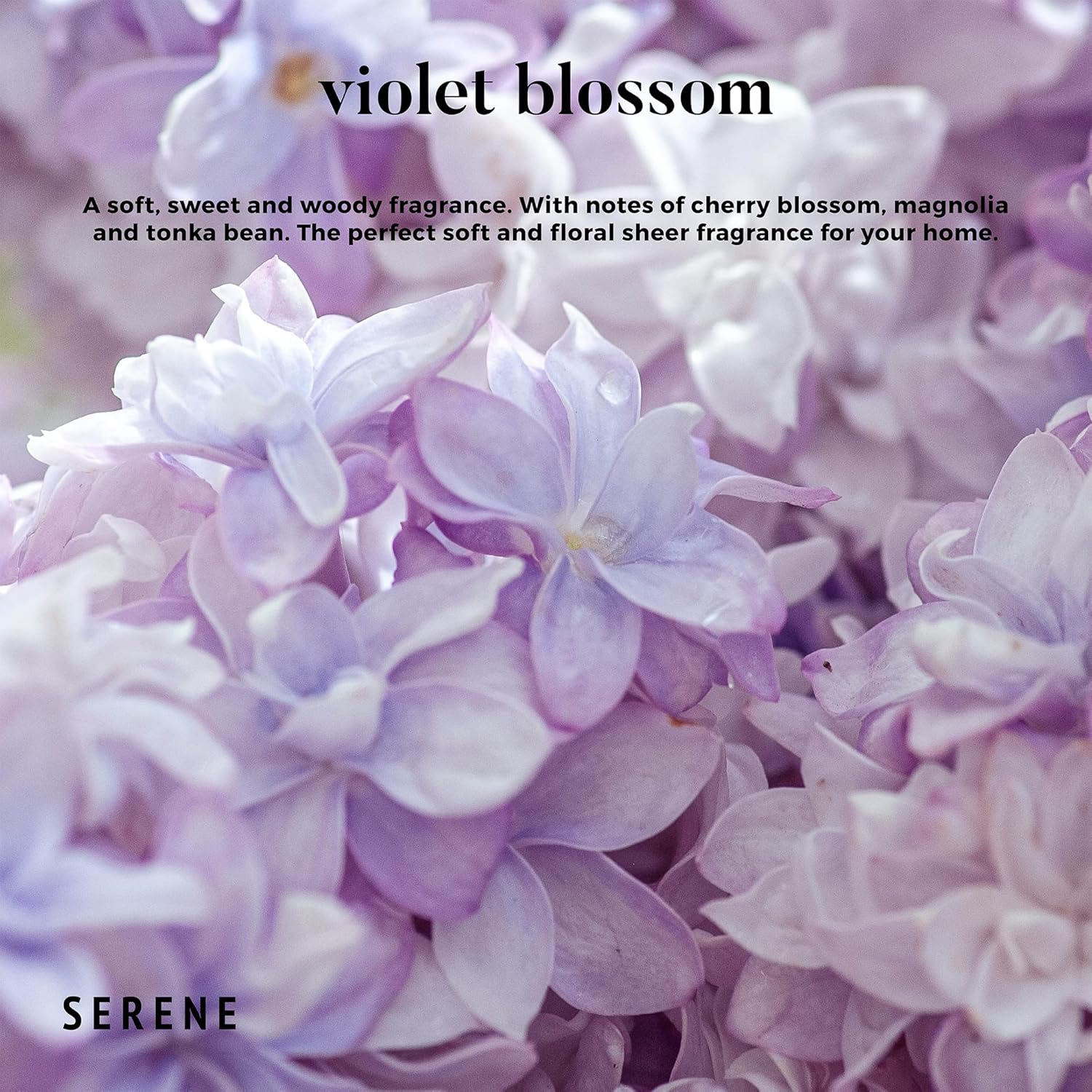 Hidden Label Large Scented Candle, Violet Blossom, 30oz 3 Wick Huge Candle, Serene Collection Slow