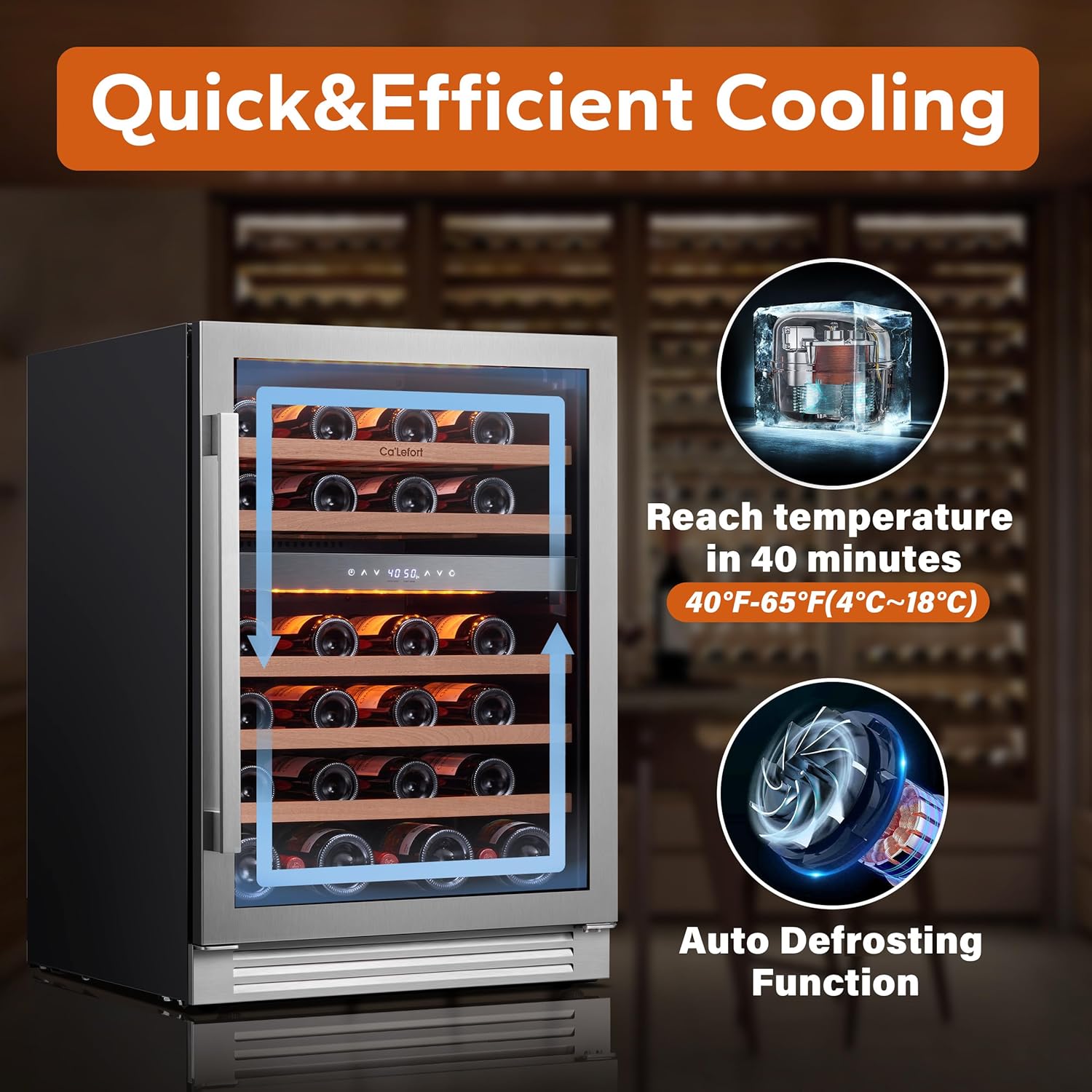 Ca'Lefort Wine Fridge & Cooler - 24 Inch 46 Bottle Wine Cooler Refrigerator, 40-65°F Dual Zone Wine
