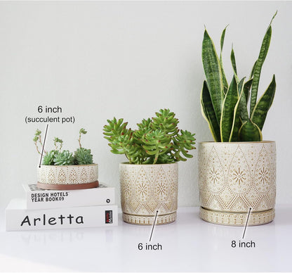 8 Inch Indoor Plant Pot with Drainage Holes and Saucers, Ceramic Planter for Plants, Succulent