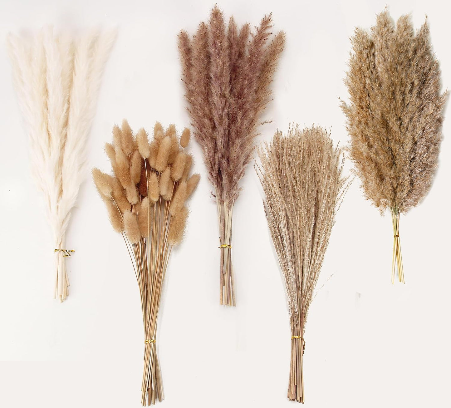 Natural Dried Pampas Grass Decor, 110 PCS Pampas Grass Contains White Bunny Tails Dried Flowers