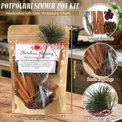 6 Pack Christmas Potpourri Simmer Pot Kit, Holiday Stovetop Potpourri, Botanical Air Freshener