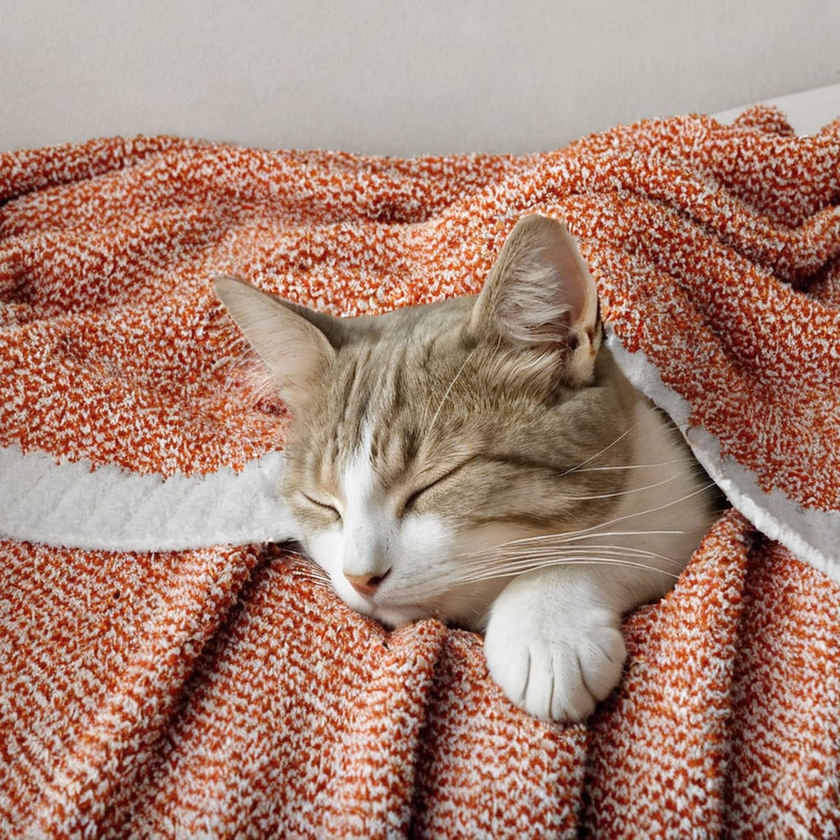 MIULEE Fall Burnt Orange Super Soft Throw Blanket for Couch, Cozy Fluffy Warm Throws Knit Blankets