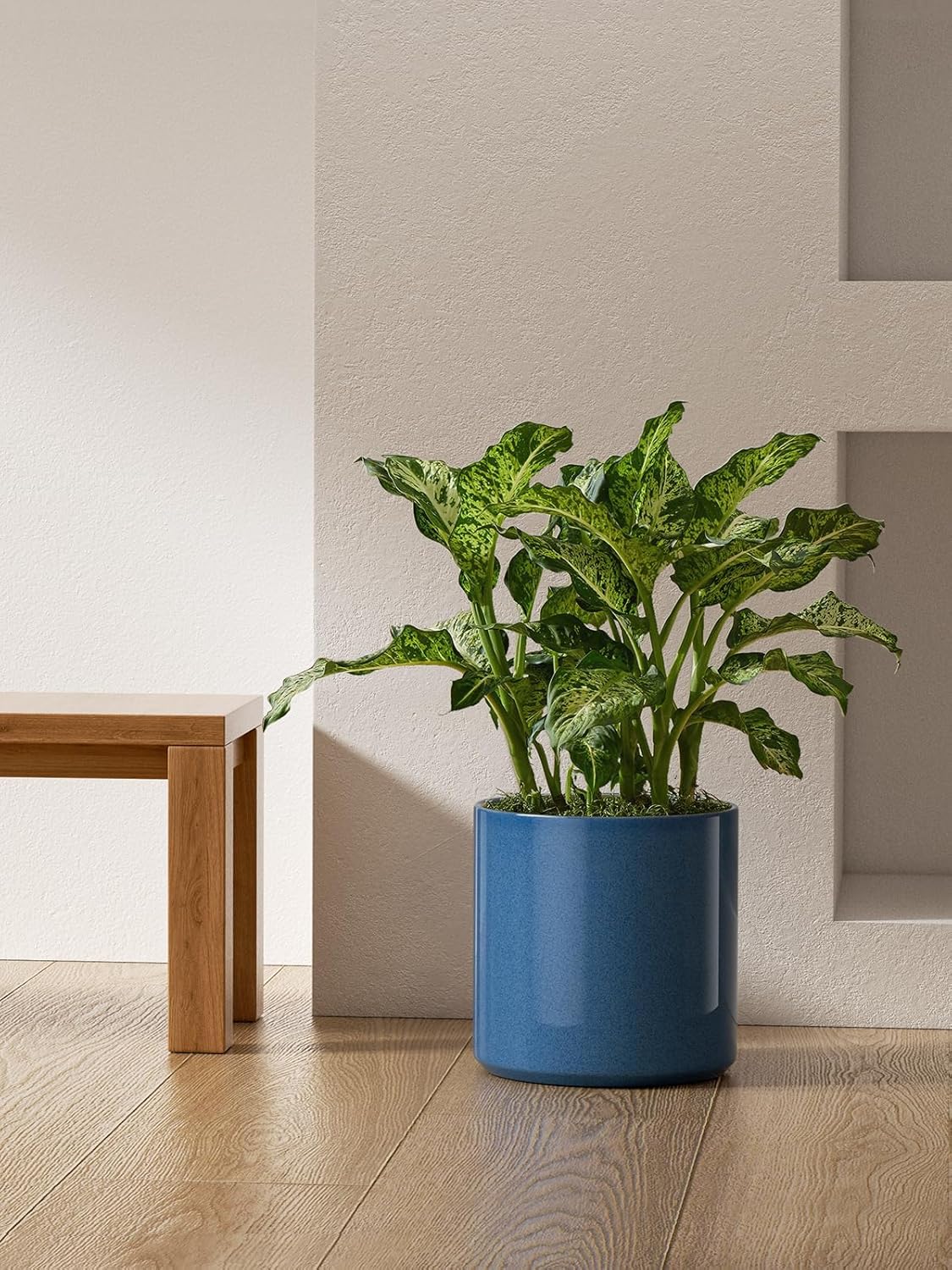 LE TAUCI 12 Inch Pots for Plants, Ceramic Large Plant Pot for Indoor Plants, Mid-Century Modern