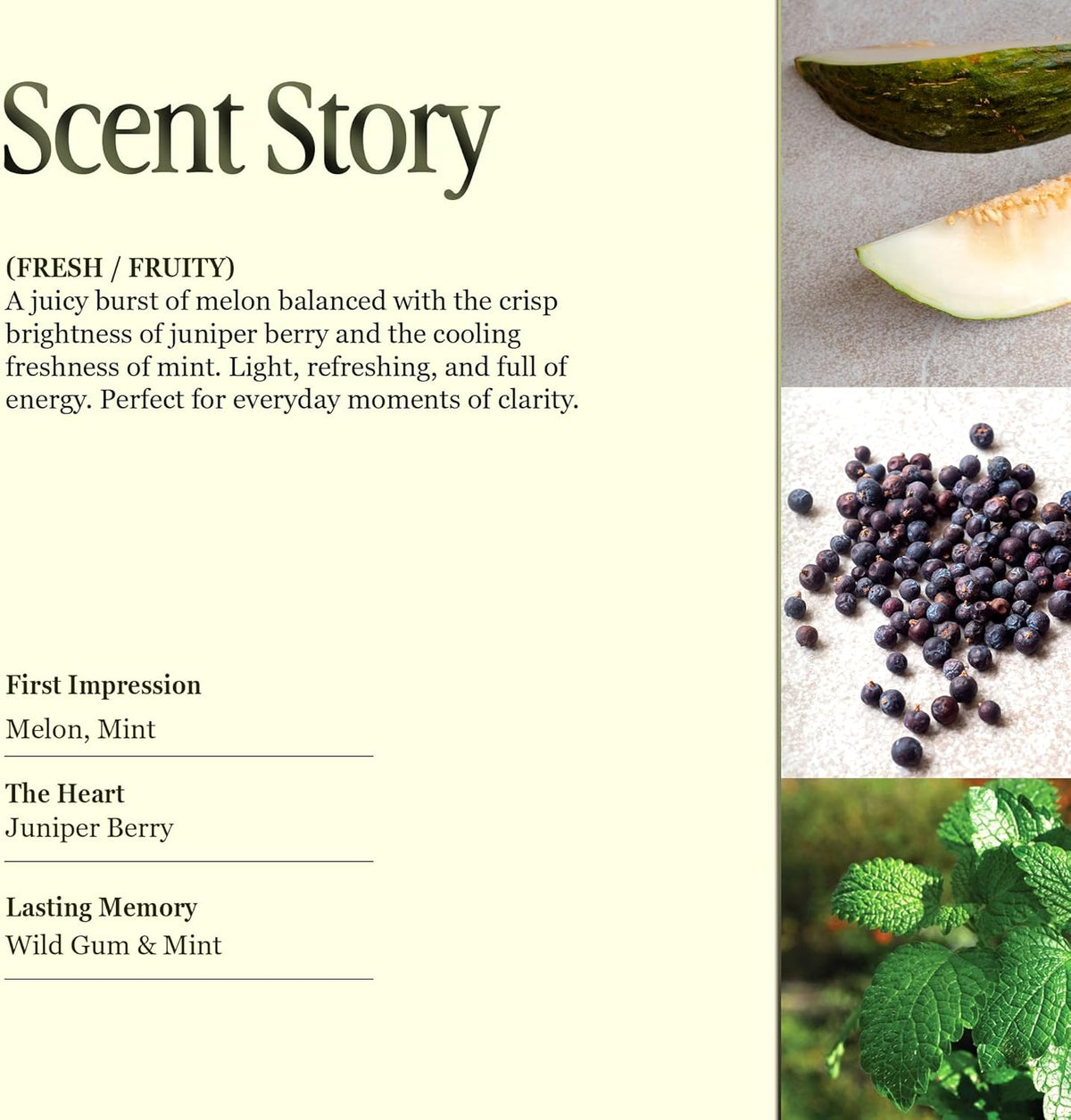 Scented Luxury Candles Outdoor Mosquito Bug Repellent Ceramic Jars, Soy Wax | The Green Life, Large