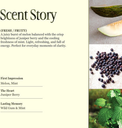 Scented Luxury Candles Outdoor Mosquito Bug Repellent Ceramic Jars, Soy Wax | The Green Life, Large