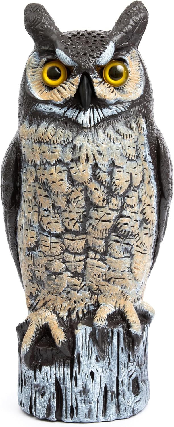 Dalen Large Fake Owl Decoy to Scare Birds Away - Garden Scarecrow Provides Natural Pest Control