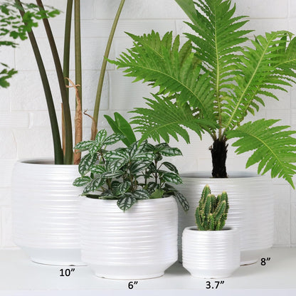 10 Inch Ceramic Plant Pot with Drainage – Large Flower Pot for Indoor Outdoor Plants, Modern