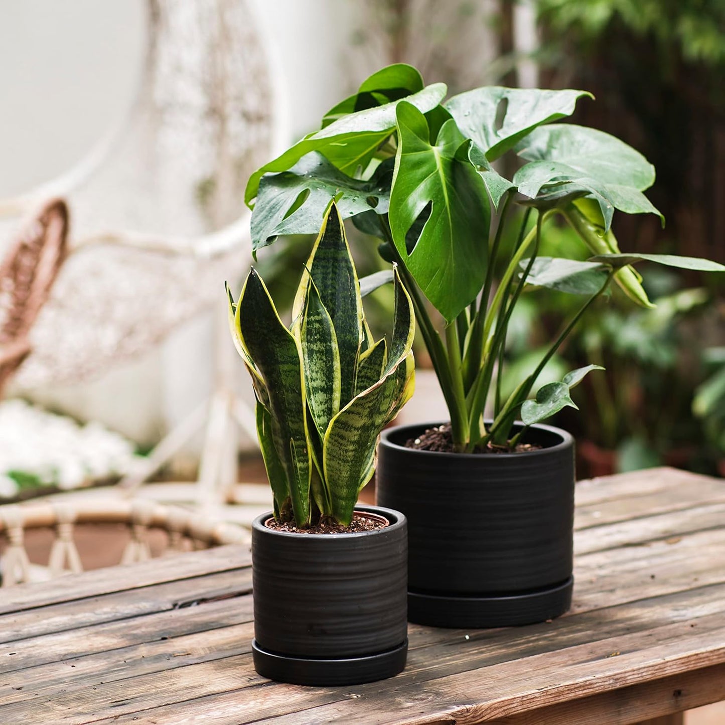 6 + 8 Inch Plant Pots, Ceramic Planter Pot with Drainage Hole & Saucer, Indoor/Outdoor Cylinder