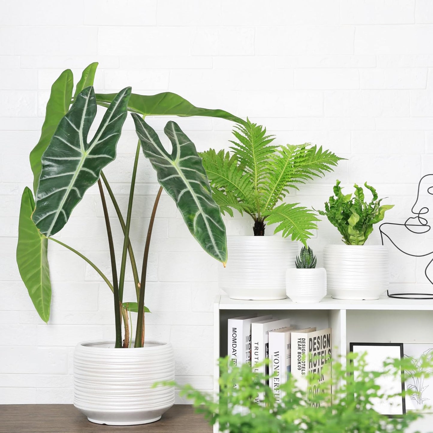 10 Inch Ceramic Plant Pot with Drainage – Large Flower Pot for Indoor Outdoor Plants, Modern