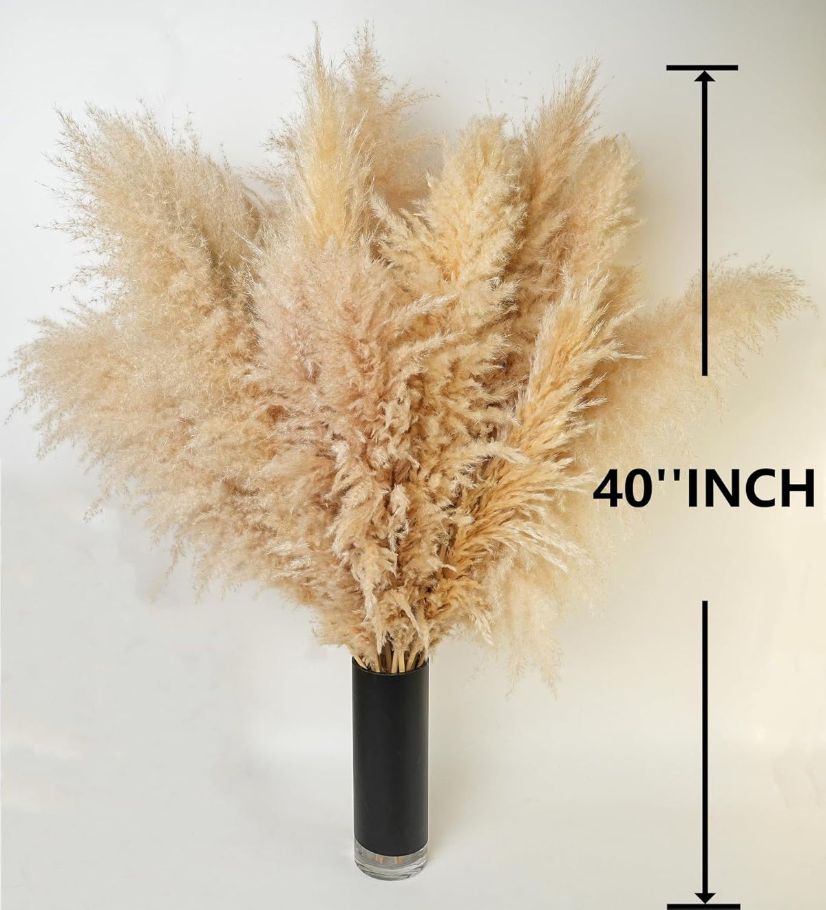 10 PCS 40" Tall Pampas Grass Stems in Natural Beige, Add a Boho Touch to Your Space—Pompas Grass
