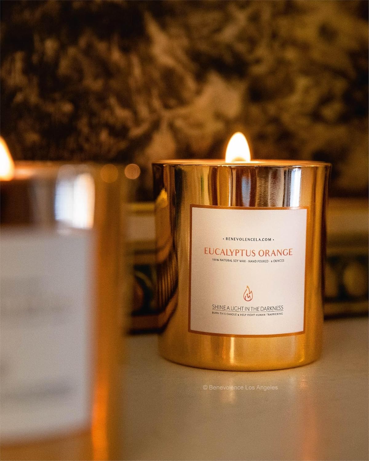 Benevolence LA Eucalyptus Orange Wood Wick Candles | Soy Scented Candles for Home | Gifts for Women