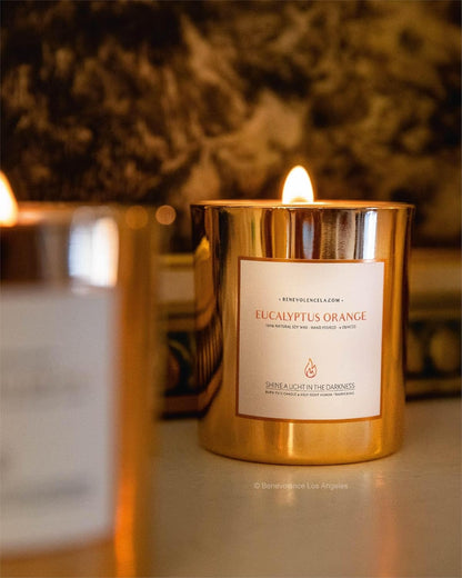 Benevolence LA Eucalyptus Orange Wood Wick Candles | Soy Scented Candles for Home | Gifts for Women
