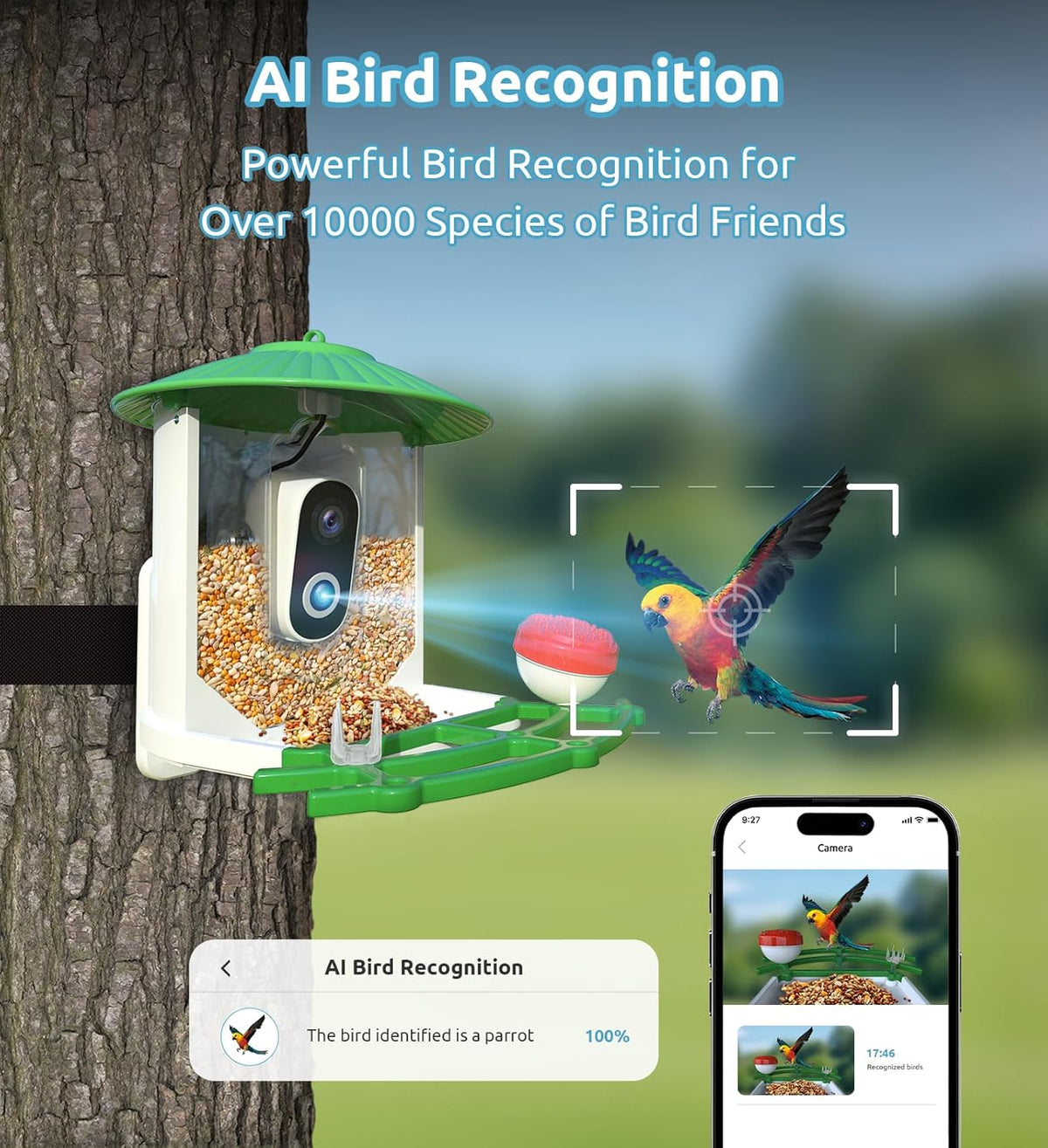 Bird Feeder with Camera, 2K HD AI Smart Identify BirdSpecies Video Camera with Solar Panel Outdoors