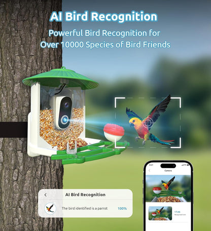 Bird Feeder with Camera, 2K HD AI Smart Identify BirdSpecies Video Camera with Solar Panel Outdoors