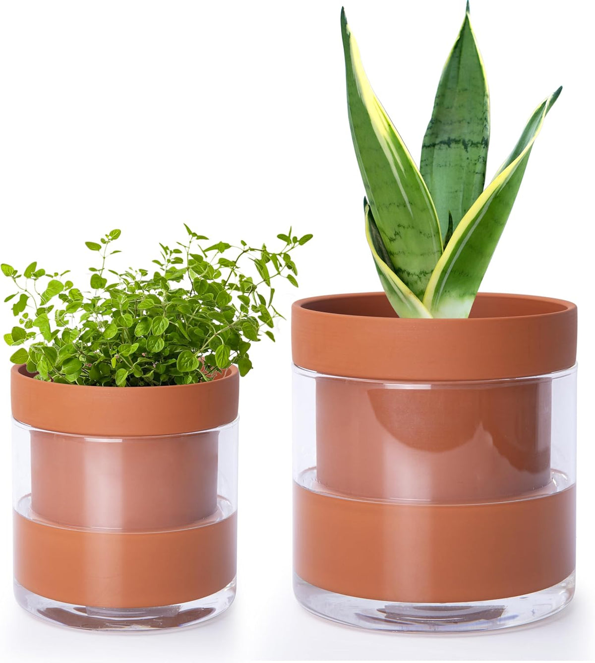 Phoenix Vine 4 Inch 6 Inch Self Watering Planter Pots, Terracotta Clay Pots with Glass Reservoir