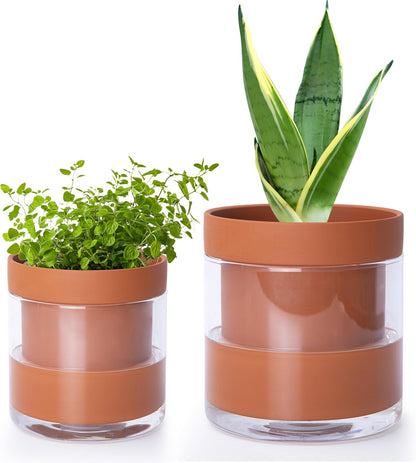 Phoenix Vine 4 Inch 6 Inch Self Watering Planter Pots, Terracotta Clay Pots with Glass Reservoir