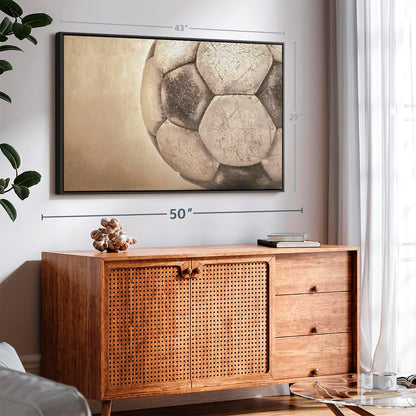 Elephant Stock Worn Soccer Ball Wall Art - Horizontal Framed Canvas - 1-Piece Living Room Wall