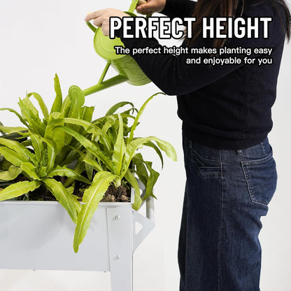𝐑𝐚𝐢𝐬𝐞𝐝 𝐆𝐚𝐫𝐝𝐞𝐧 𝐁𝐞𝐝 𝐎𝐮𝐭𝐝𝐨𝐨𝐫 Elevate Herb Garden Planter Box Outdoor Raised