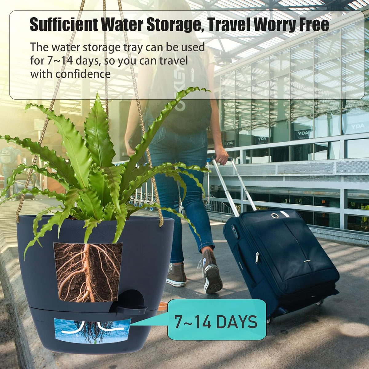 10 Inch Self Watering Hanging Pots, 2 Pack Hanging Planters with 40oZ Deep Reservior for Indoor