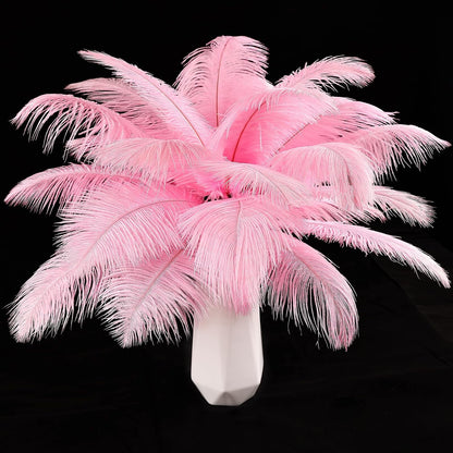 THARAHT Pink Ostrich Feathers 12pcs Natural Bulk 8-10Inch 20cm-25cm for Crafts Wedding Party