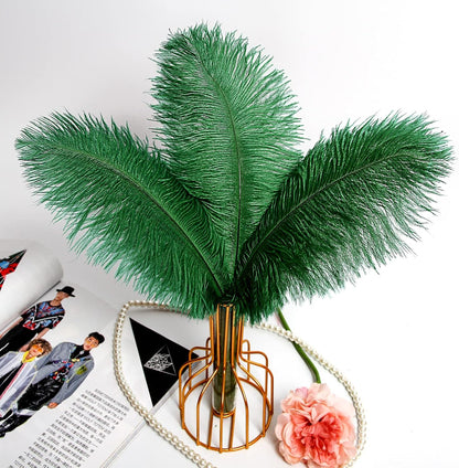THARAHT Blackish Green Ostrich Feathers 12pcs Natural Bulk 10-12Inch 25cm-30cm for Crafts Wedding