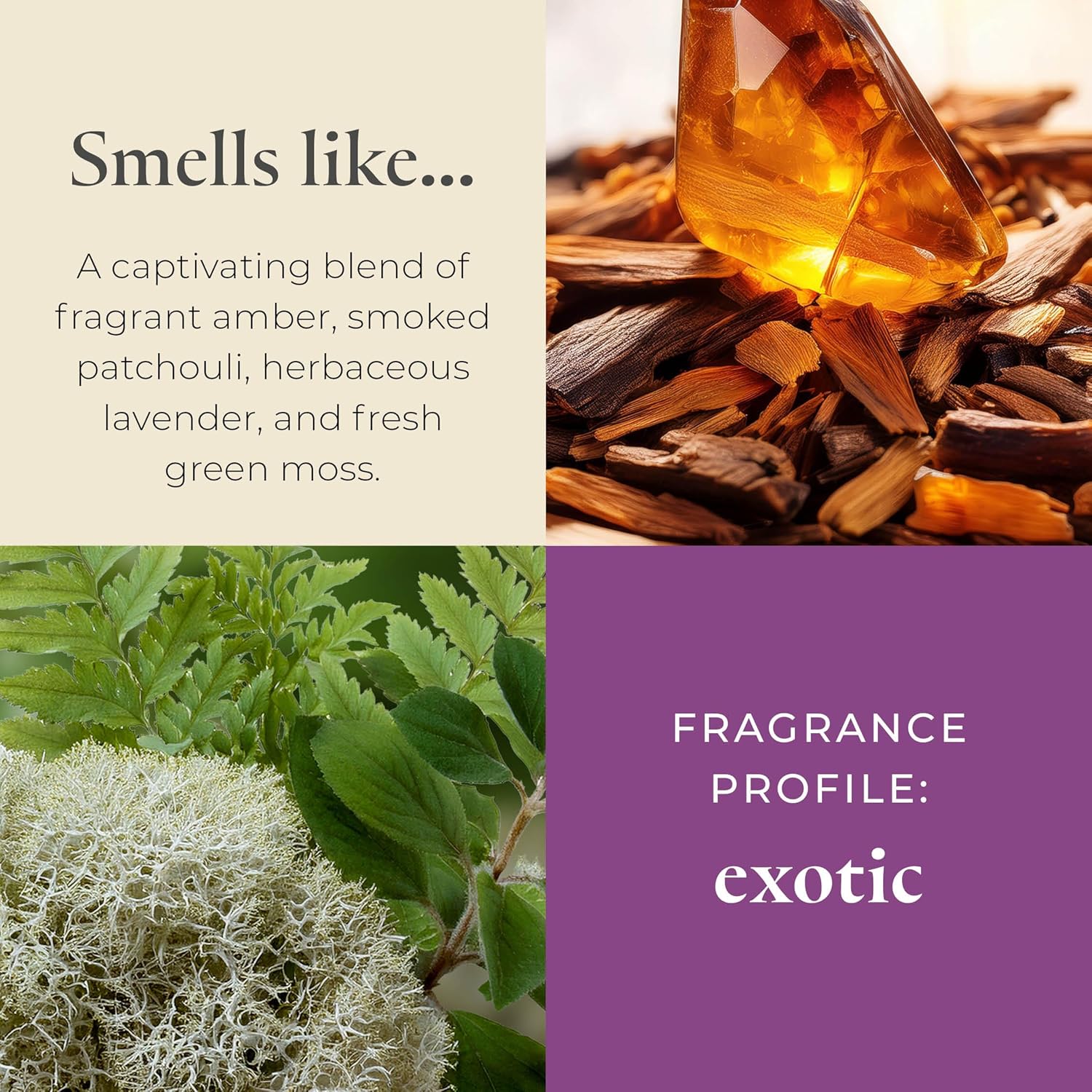 PartyLite Tamboti Woods Scented, Notes of Exotic Amber, Patchouli, Lavender & Green Moss, 13.2oz