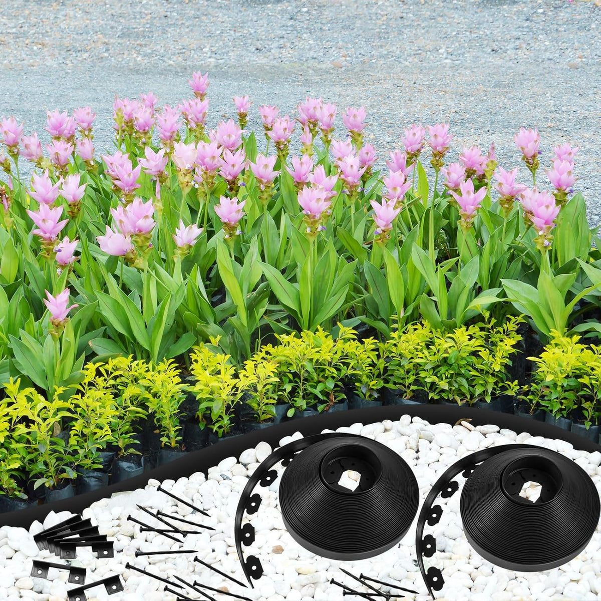 Sasylvia 2.5'' x 200' Landscape Edging Kit Edging Border Coil Include Anchoring Spikes 10