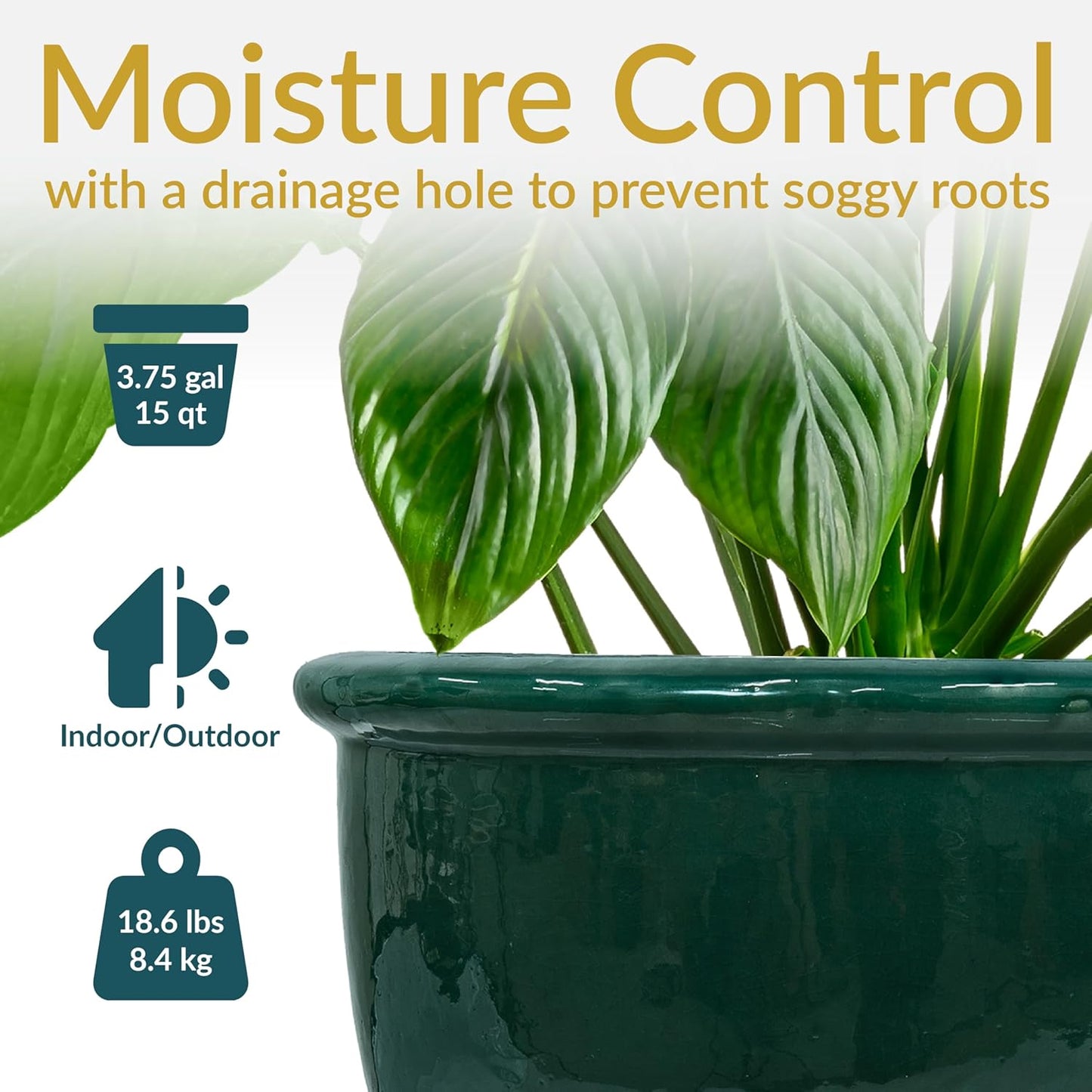 Sunnydaze Chalet Large Ceramic Plant Pot - Round Outdoor Glazed Ceramic Planter Pot with Drainage