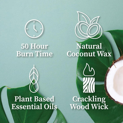 Hemlock Park Wood Wick Candle Handcrafted with Natural Coconut Wax and Essential Oils (Amber & Gold