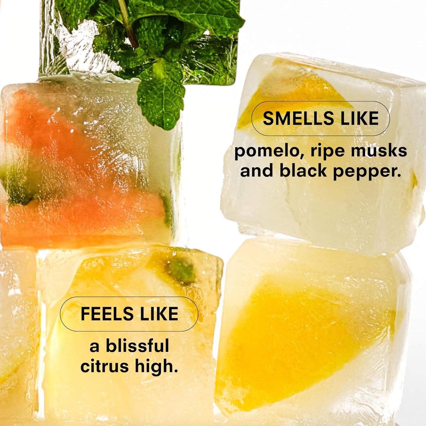 Boy Smells Citrush Candle – Bright Citrus Aroma – Warm Musk Finish – Pomelo Oil – Clean Burning