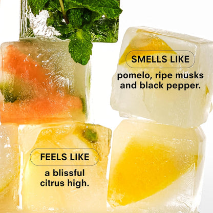 Boy Smells Citrush Candle – Bright Citrus Aroma – Warm Musk Finish – Pomelo Oil – Clean Burning