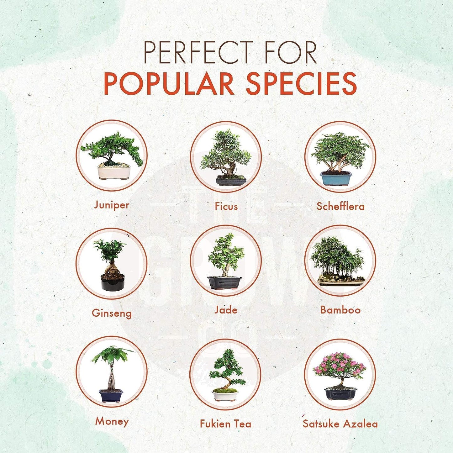 Bonsai Fertilizer - Gentle Slow Release Plant Food Pellets - Ideal for All Indoor and Outdoor