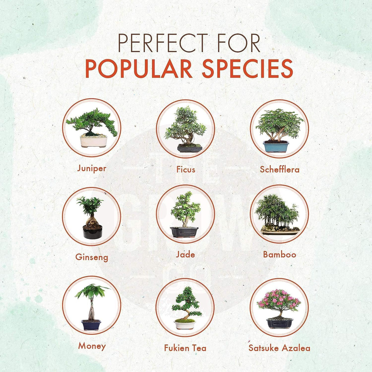 Bonsai Fertilizer - Gentle Slow Release Plant Food Pellets - Ideal for All Indoor and Outdoor