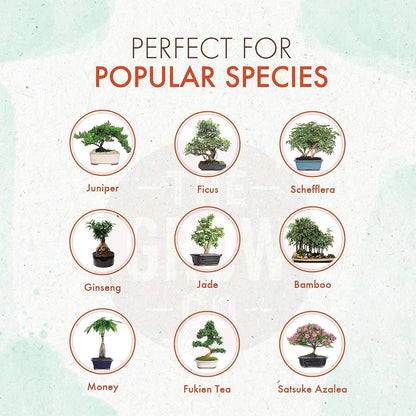 Bonsai Fertilizer - Gentle Slow Release Plant Food Pellets - Ideal for All Indoor and Outdoor