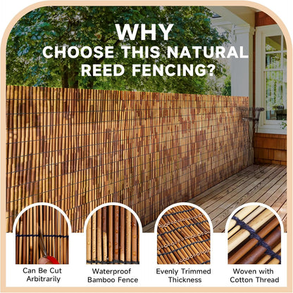 ZNCMRR Reed Fencing Rolls Natural Bamboo Fence 5.5 Feet High Privacy Screen Curtains Fence for