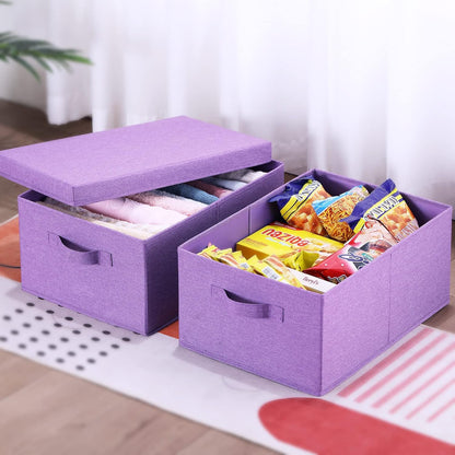 HOONEX Foldable Storage Bins with Lids, Pack of 2, Storage Boxes with 2 Carrying Handles and Sturdy