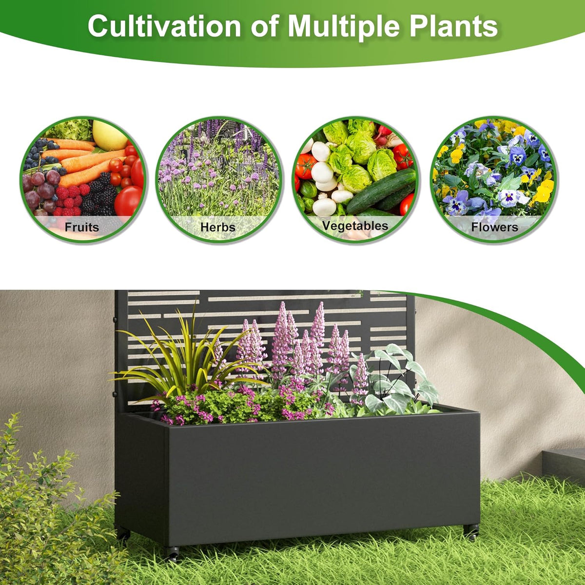 Casaphoria Metal Raised Garden Bed with Trellis and Wheels, 72"x35"x16" Planter Box for Climbing