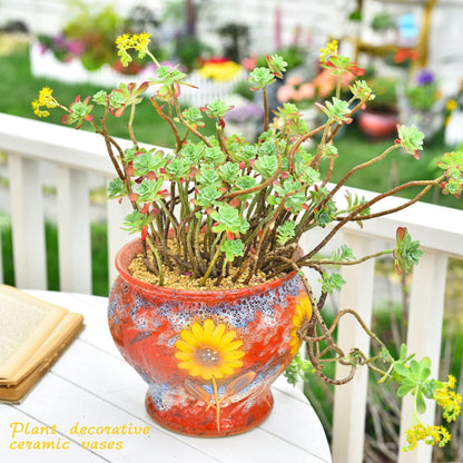 Sungmor Ceramic Hand Painted Succulent Flower Pots, 9 Inch Large Pottery Pots for Indoor Outdoor