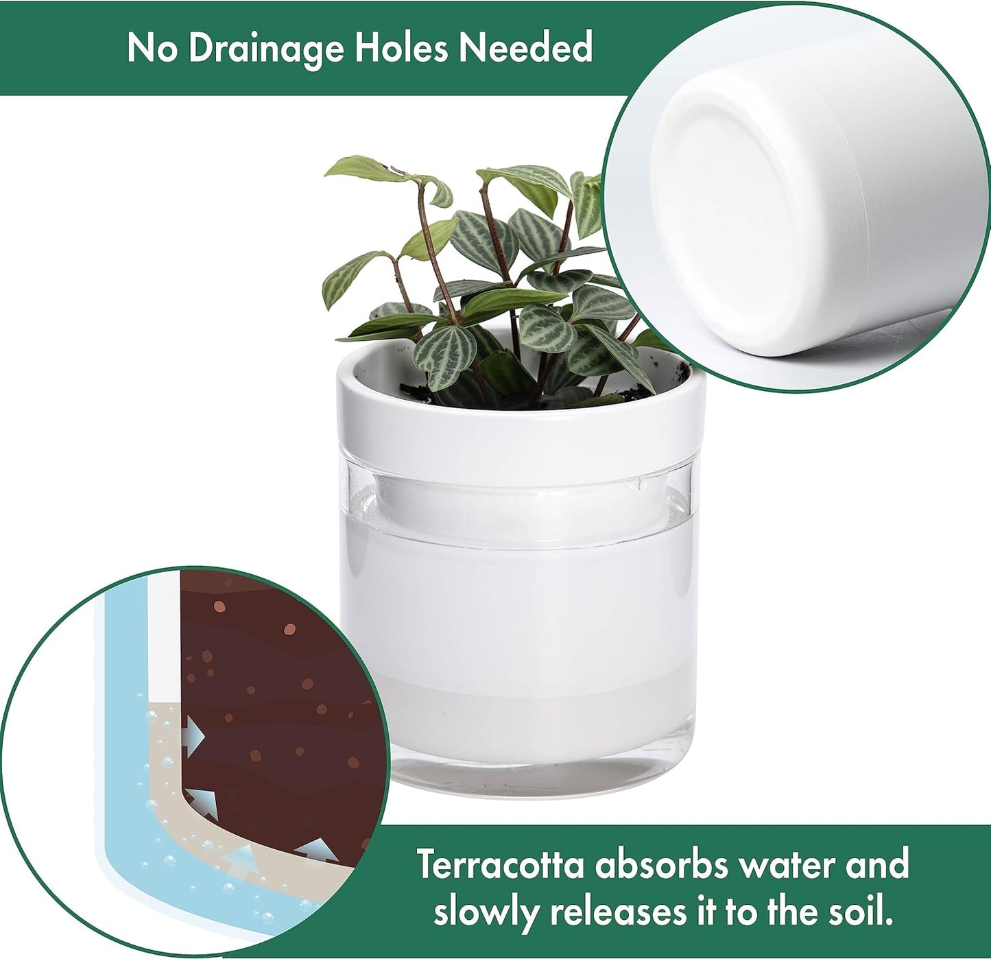 Phoenix Vine 4 Inch Self Watering Planter, White Terracotta Clay Pot with Glass Reservoir for