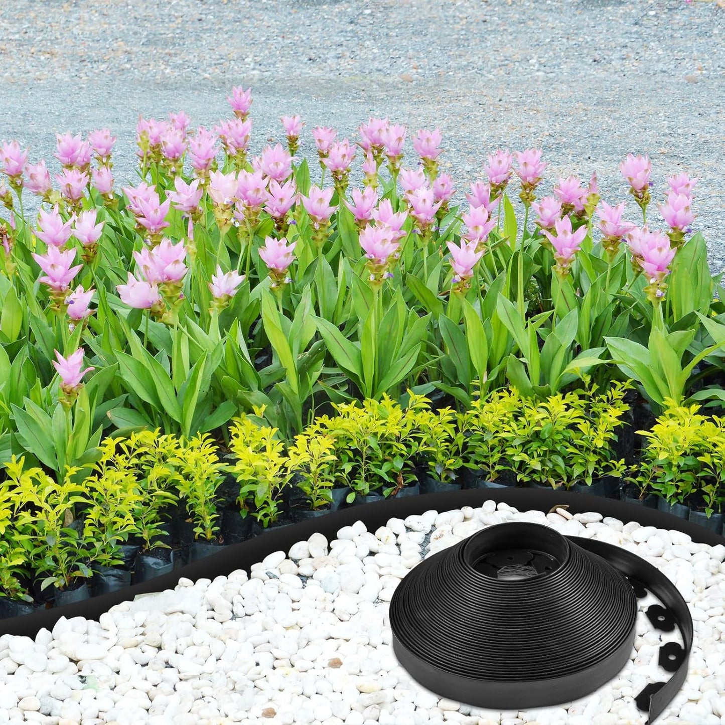 Sasylvia 2'' x 200' Landscape Edging Kit Edging Border Coil Include Anchoring Spikes 10 Connectors
