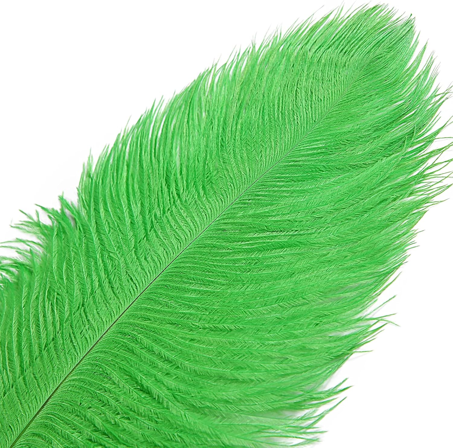 THARAHT Green Ostrich Feathers 12pcs Large Natural Bulk 12-14Inch 30cm-35cm for Wedding Party
