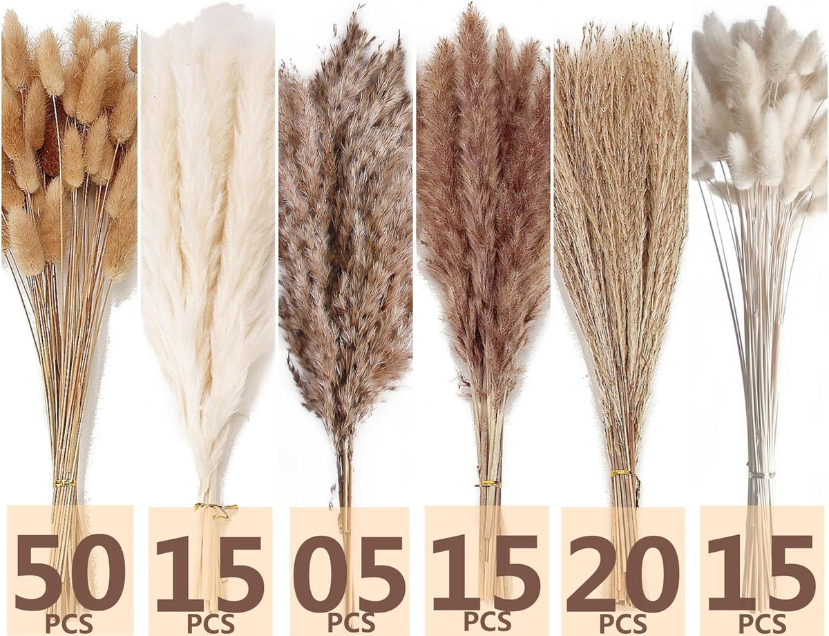 Dried Pampas Grass Decor, 120 PCS Pampas Grass with Bunny Tails Dried Flowers, Reed Grass Bouquet