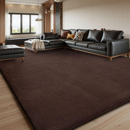Sour Lemon 6x9 Living Room Rug, Soft Large Fluffy Bedroom Machine Washable Non Slip Carpet Rug for